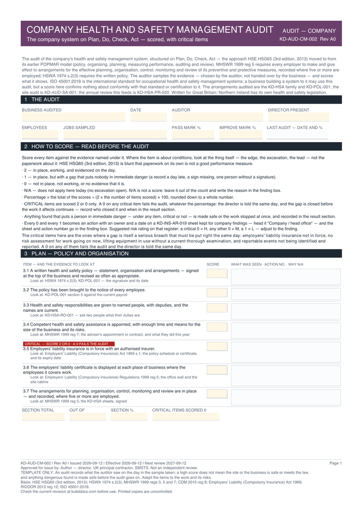 Company Health and Safety Management Audit — page one