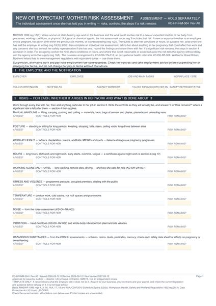 New or Expectant Mother Risk Assessment preview