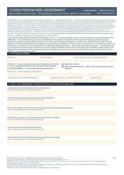 Young Person Risk Assessment preview